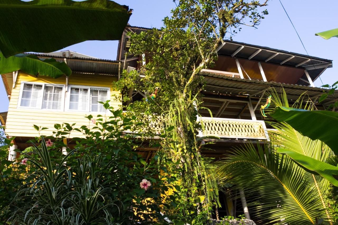 Bastimentos Hill Guest House Bocas del Toro Esterno foto